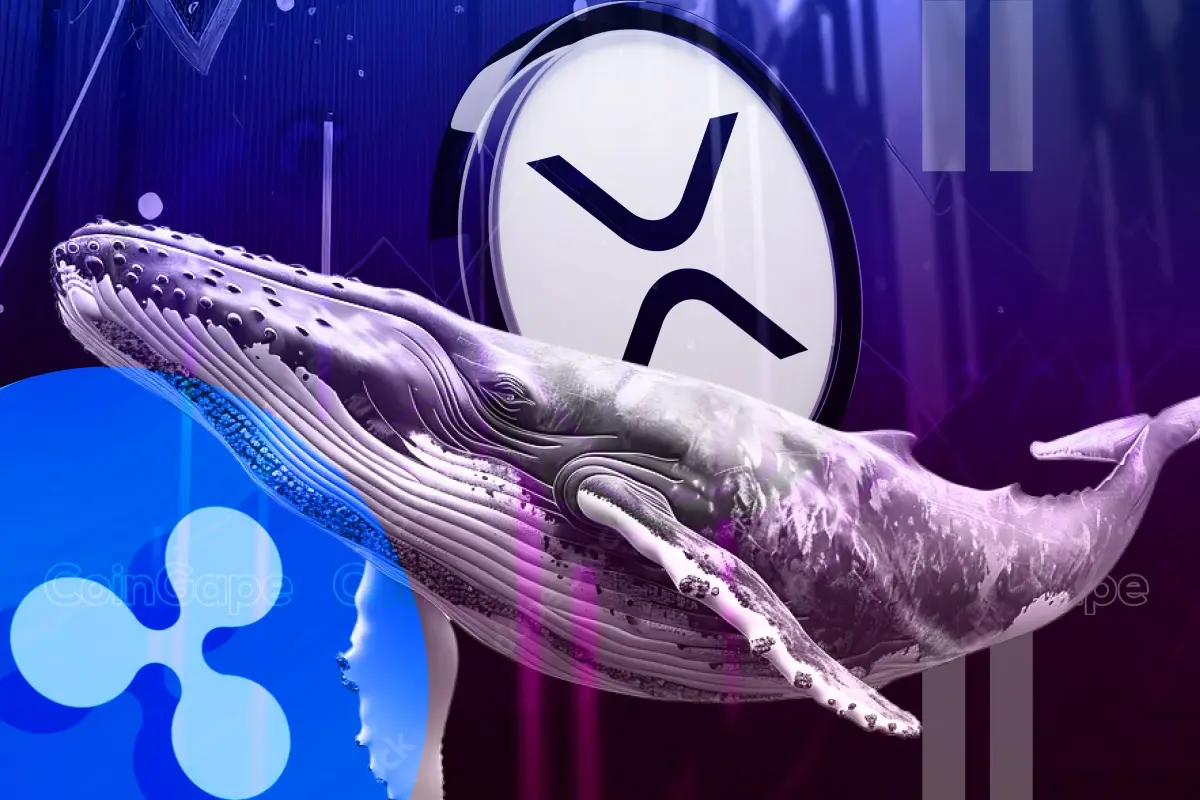 Xrp News Ripple Whales Bag 526m Coins As Xrp Eyes Rally To 7.5.webp.webp