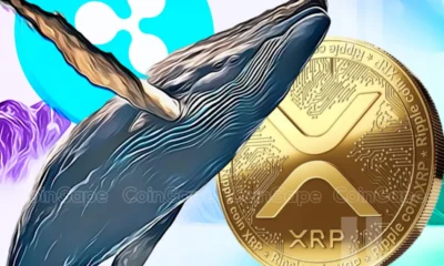 Xrp Whale Moves 104m Coins As Ripple Case Near Potential End.webp.webp