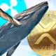 Xrp Whale Moves 104m Coins As Ripple Case Near Potential End.webp.webp