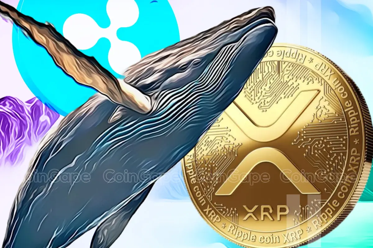 Xrp Whale Moves 104m Coins As Ripple Case Near Potential End.webp.webp