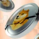 Bic Dogecoin Covers Negative.png.webp.webp