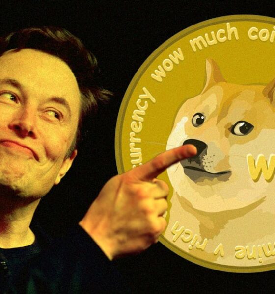 Musk Et Dogecoin.jpg