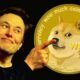 Musk Et Dogecoin.jpg