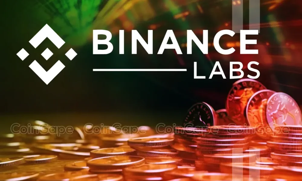 Binance Labs Dumps This Crypto Token Worth Millions.webp.webp