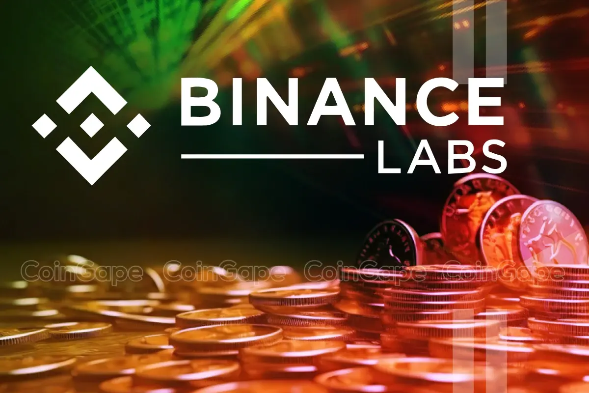 Binance Labs Dumps This Crypto Token Worth Millions.webp.webp