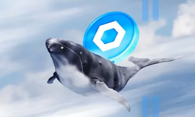 Chainlink Whale Bags Heavily Amid Link Price Rally 500 Gains Ahead.webp.webp