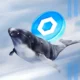 Chainlink Whale Bags Heavily Amid Link Price Rally 500 Gains Ahead.webp.webp