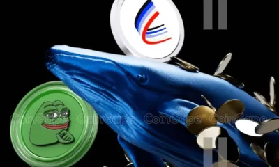 Crypto Whale Bets Big On Pepe Coin Aero This Coin Whats Next 1.webp.webp