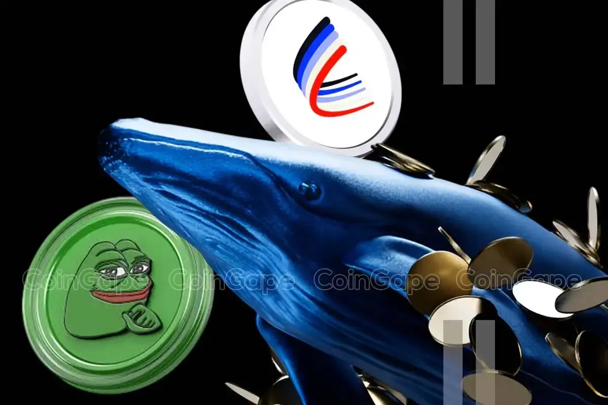 Crypto Whale Bets Big On Pepe Coin Aero This Coin Whats Next 1.webp.webp