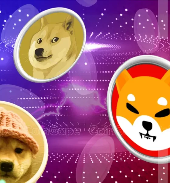 Doge Shib Wif Others Slip Is Meme Coin Season Over .webp.webp