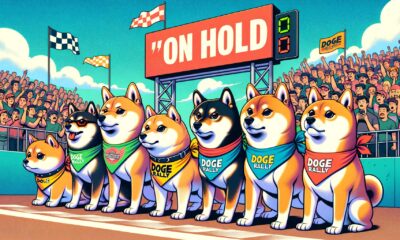 Dogecoin Doge Rally Hold.jpg