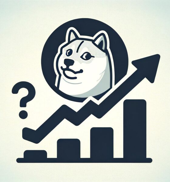 Dogecoin Doge Steadies Support.jpg