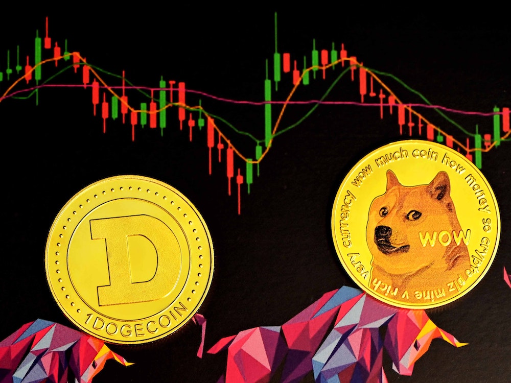 Dogecoin And Shiba Inu 1.jpeg