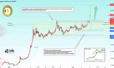 Dogecoin Price Rally 1.jpg