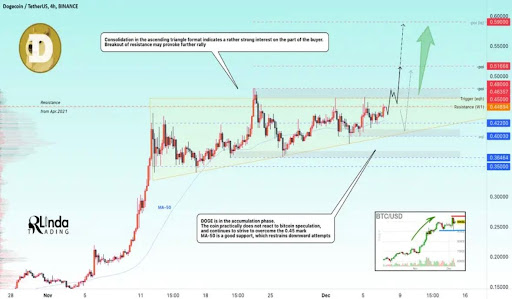 Dogecoin Price Rally 1.jpg