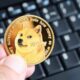 Dogecoin 75a9bc.jpeg