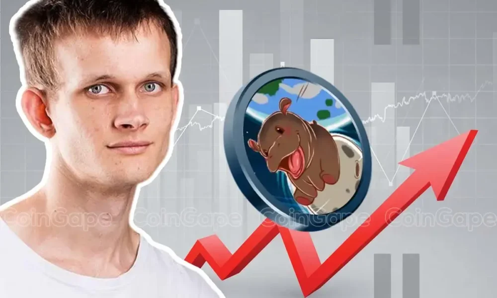 Ethereum Co Founder Vitalik Buterin Adopts Hippo Moo Deng Price Jumps 80.webp.webp