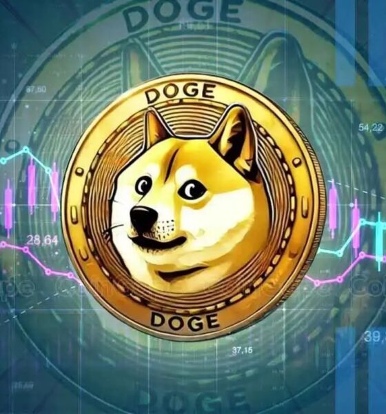 Galaxy Research Predicts Dogecoin Price To Reach 1 In 2025.jpg