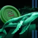 Pepe Coin Whale Sells 350b Coins Nabbing 31x Return Has Pepe Price Topped.webp.webp