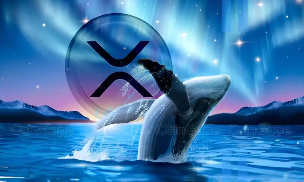 Ripple Whales Buy 147m Xrp Amid Renewed Market Interest Heres All 1.webp.webp