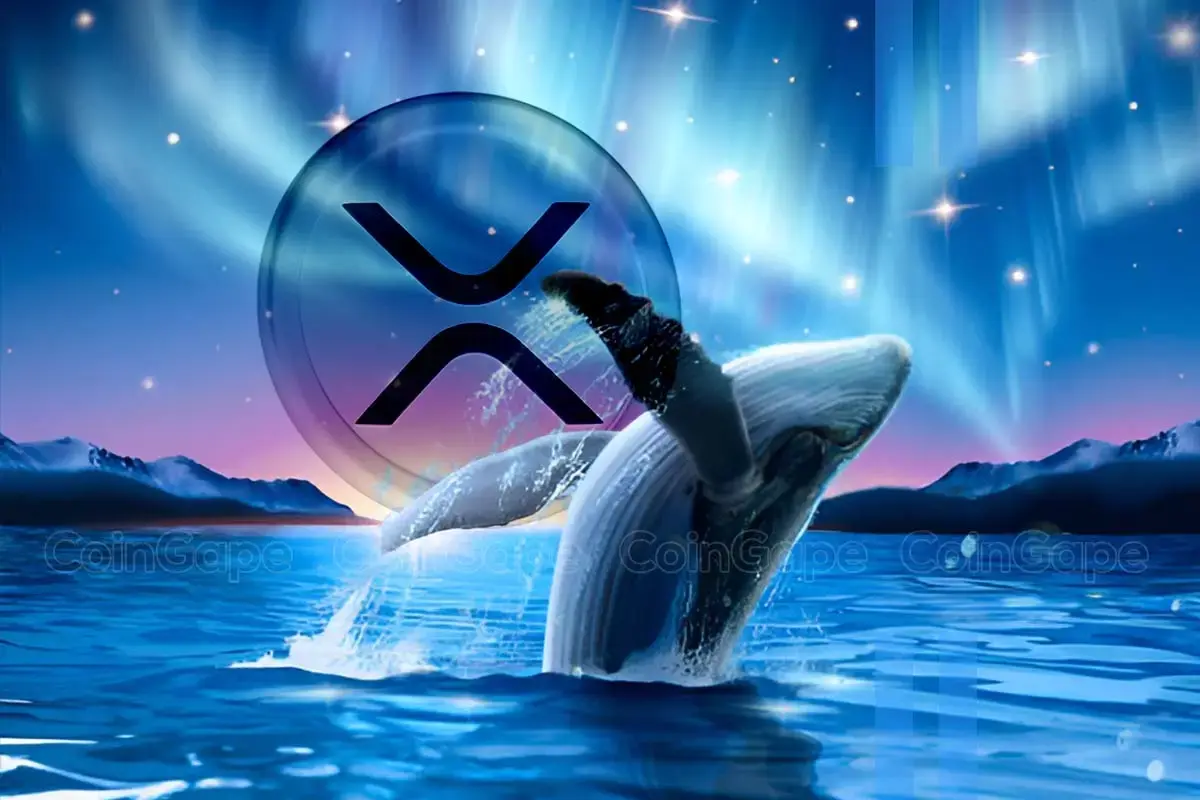 Ripple Whales Buy 147m Xrp Amid Renewed Market Interest Heres All 1.webp.webp