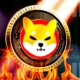 Shiba Inu Burn Rate Soars 420 Shib Breakout Ahead 1.webp.webp