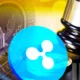 Xrp Lawsuit Lawyer Predicts Ripple Sec Case Conclusion Timeline Amid Genslers Exit.webp.webp