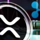 Xrp Lawsuit Ripple Faces New Proposed Order Challenges In Appeals Court.webp.webp