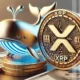 Xrp Price Etf Speculation Drives Whales To Back A Ripple Rival With 45000 Growth Potential.webp.webp