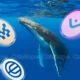 6 Altcoins Risks Falling As Whales Are Selling Santiment.webp.webp