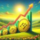 Bnb Price Poised For Gains.jpg