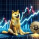 Dogecoin Doge Dips 1.jpg