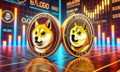 Dogecoin Shiba Inu 3.webp.jpeg