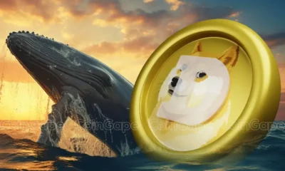 Dogecoin Whales Dump 219m Coins As Elon Musk Backtracks From D.o.g.e. Expectations.webp.webp