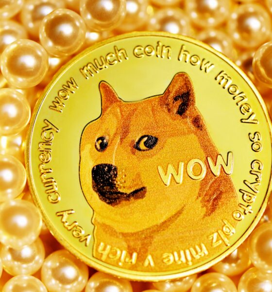 Dogecoin From Unsplash 1.jpg