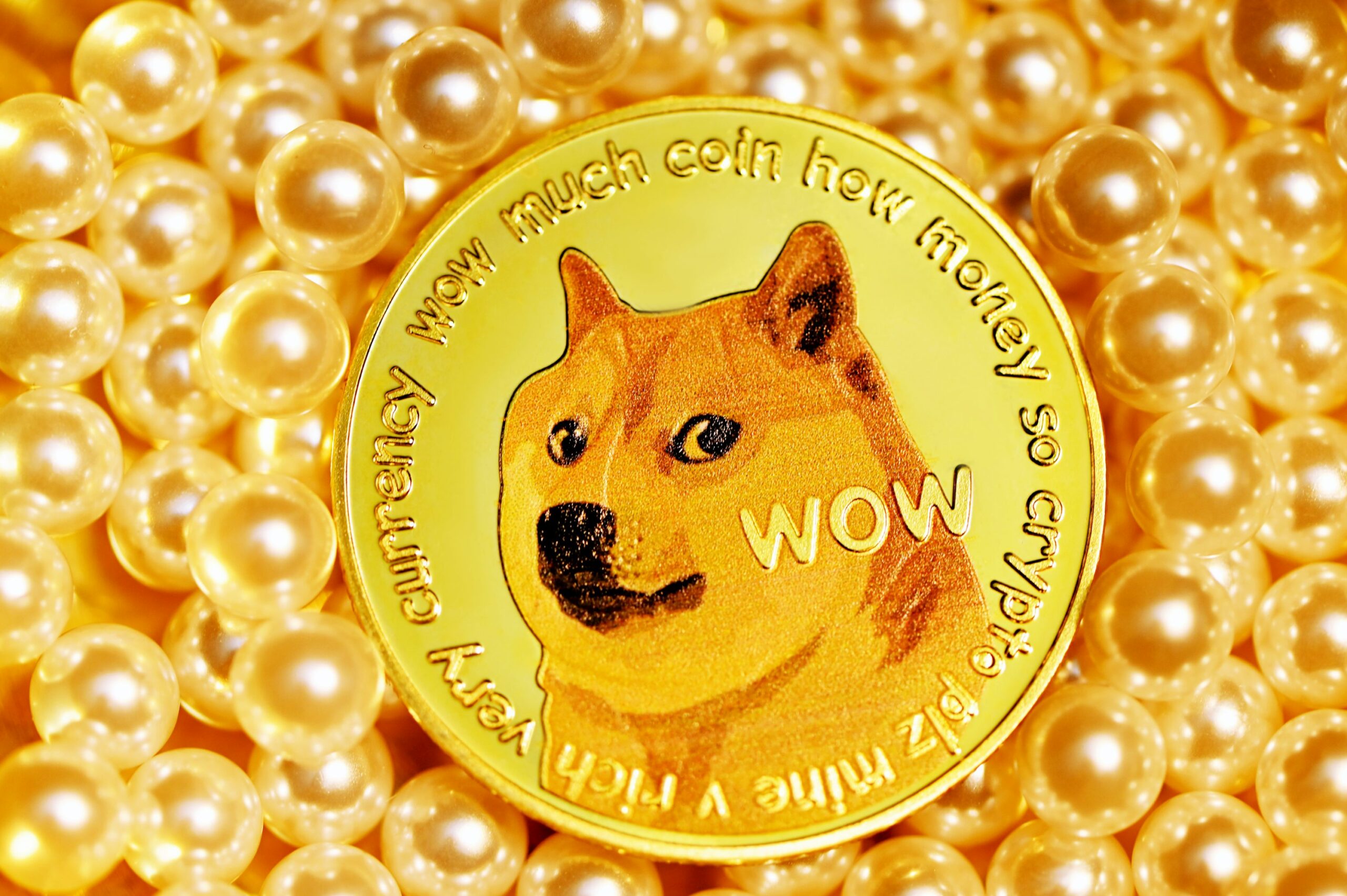 Dogecoin From Unsplash 1.jpg