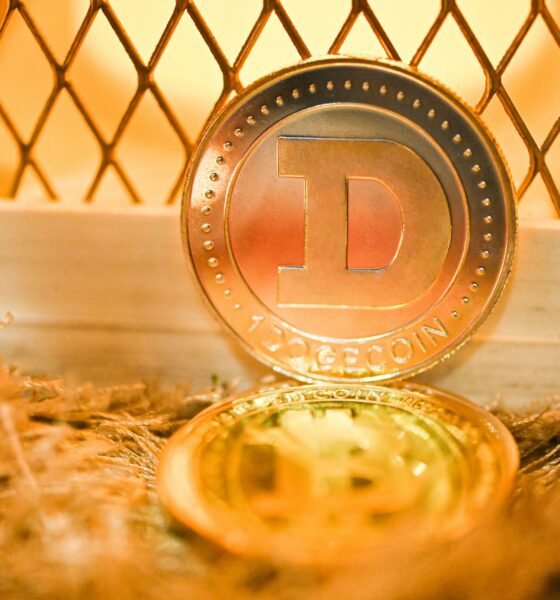 Dogecoin From Unsplash 13.jpg