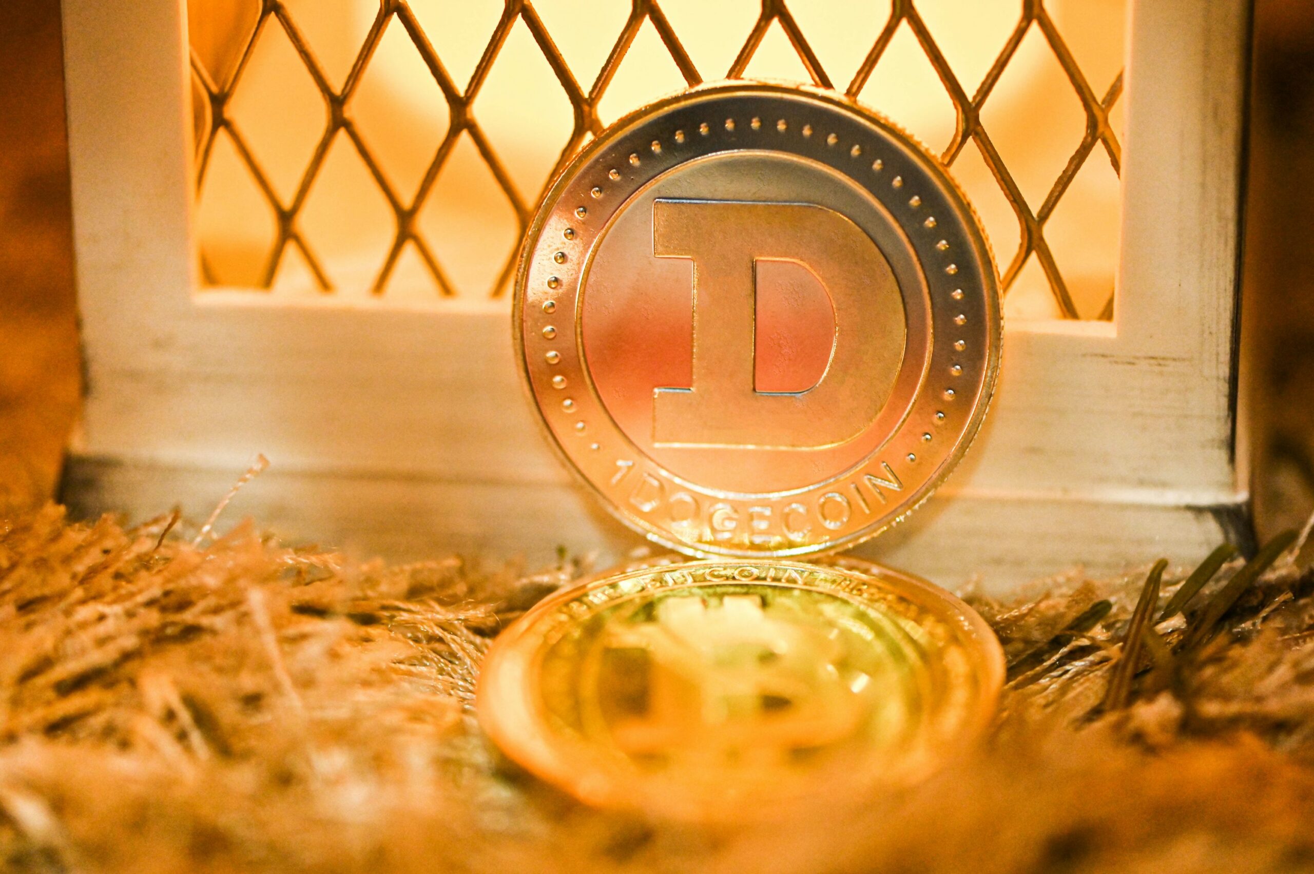 Dogecoin From Unsplash 13.jpg