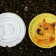 Dogecoin From Unsplash 17.jpg