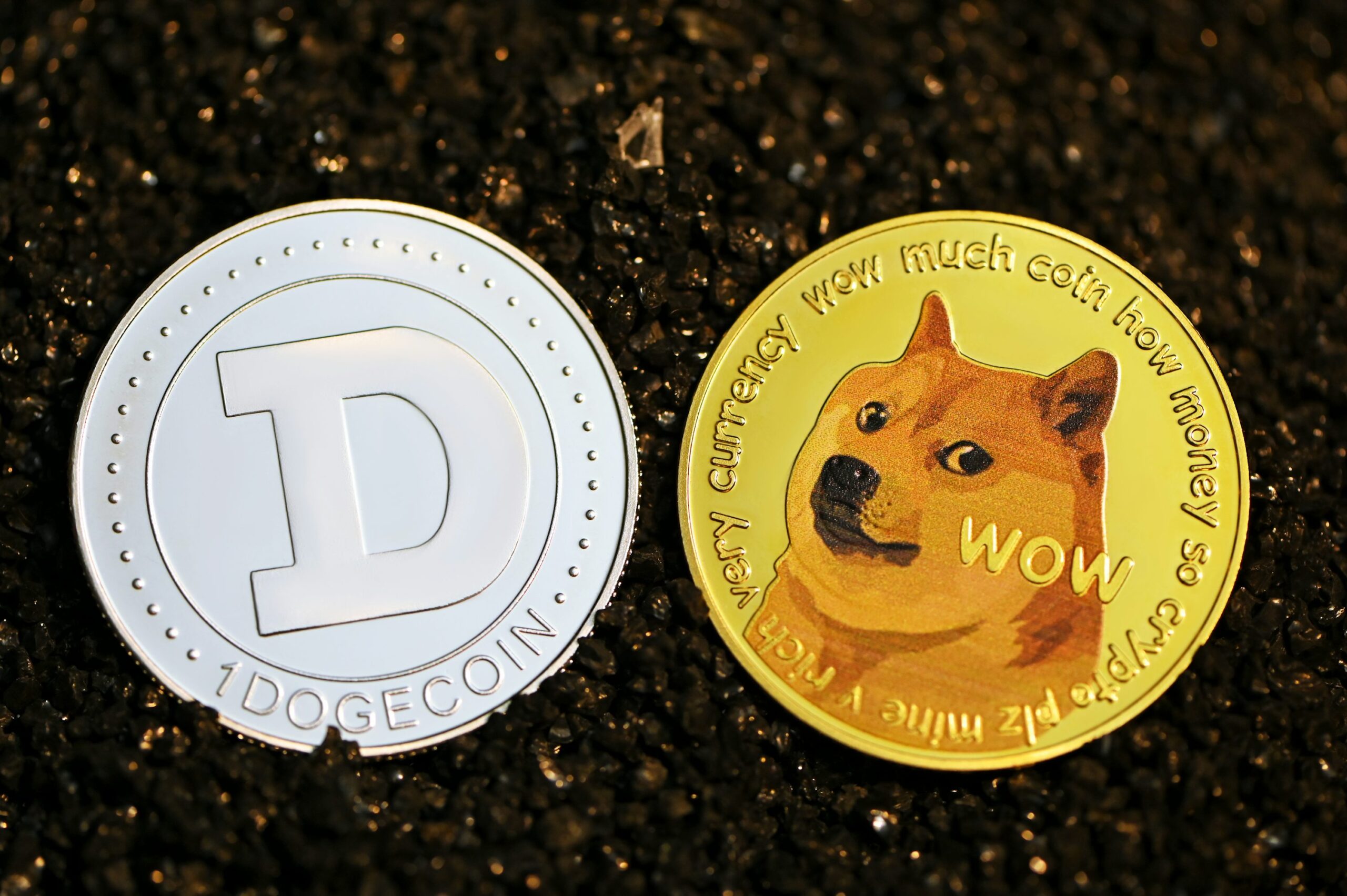 Dogecoin From Unsplash 17.jpg