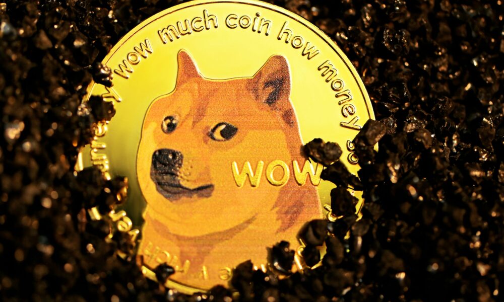 Dogecoin From Unsplash 18.jpg