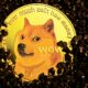 Dogecoin From Unsplash 18.jpg