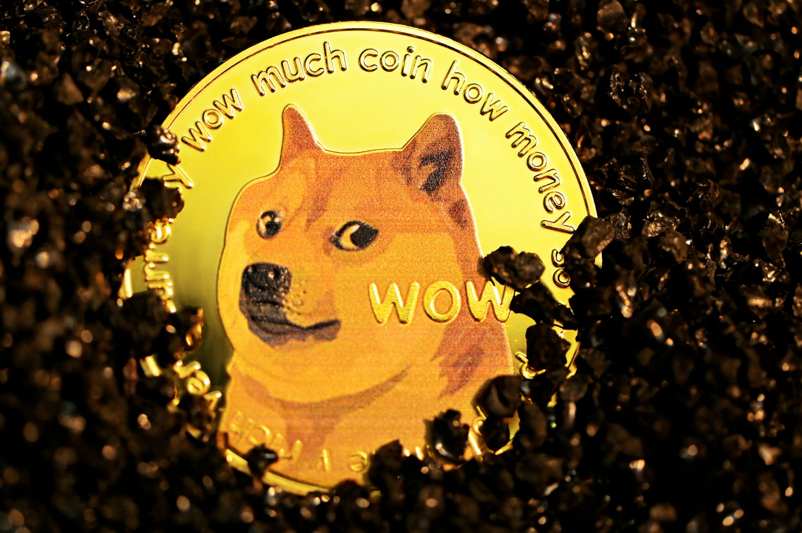 Dogecoin From Unsplash 18.jpg