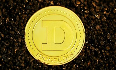 Dogecoin From Unsplash 36.jpg