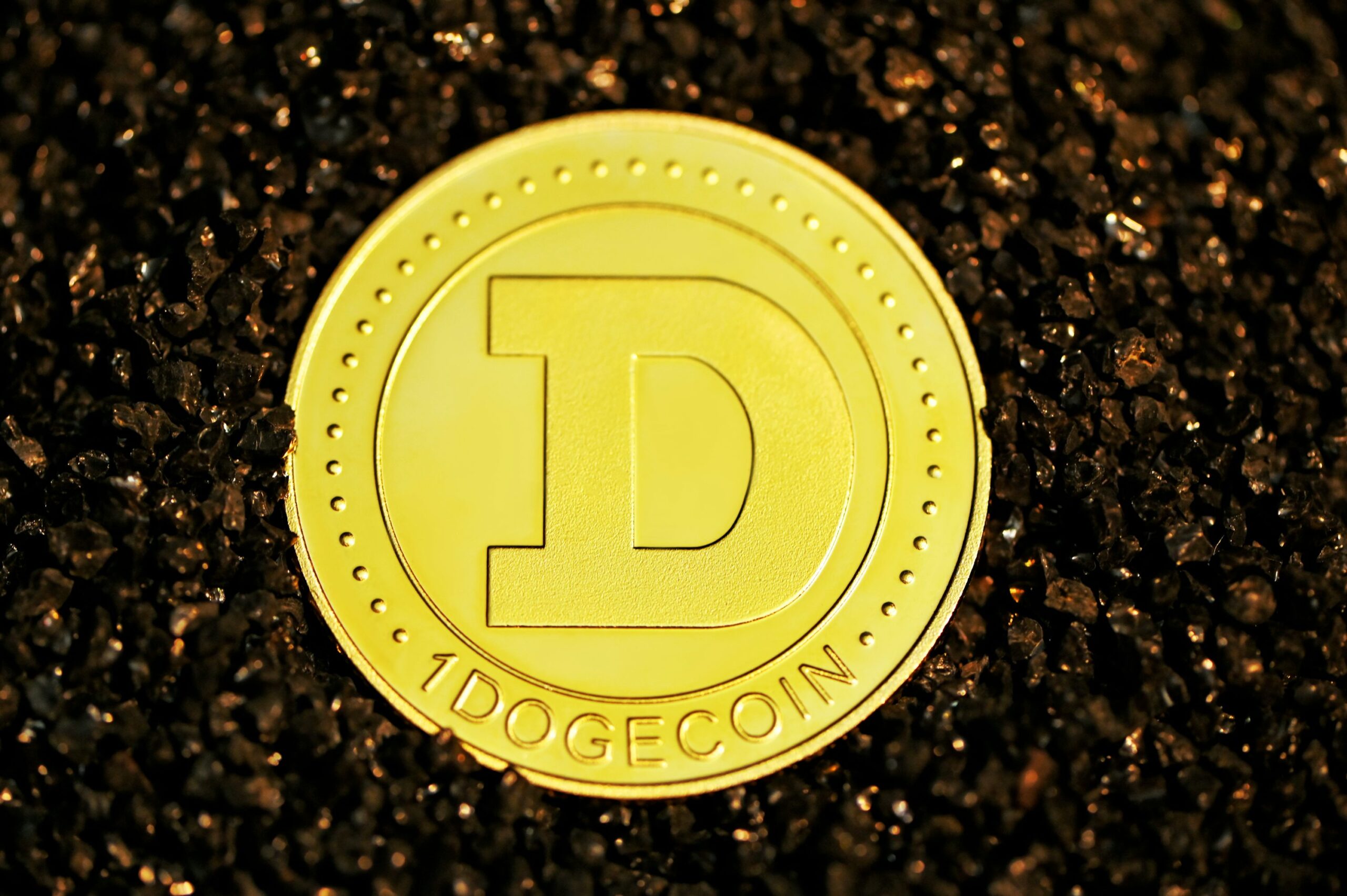 Dogecoin From Unsplash 36.jpg