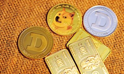 Dogecoin From Unsplash 42.jpg