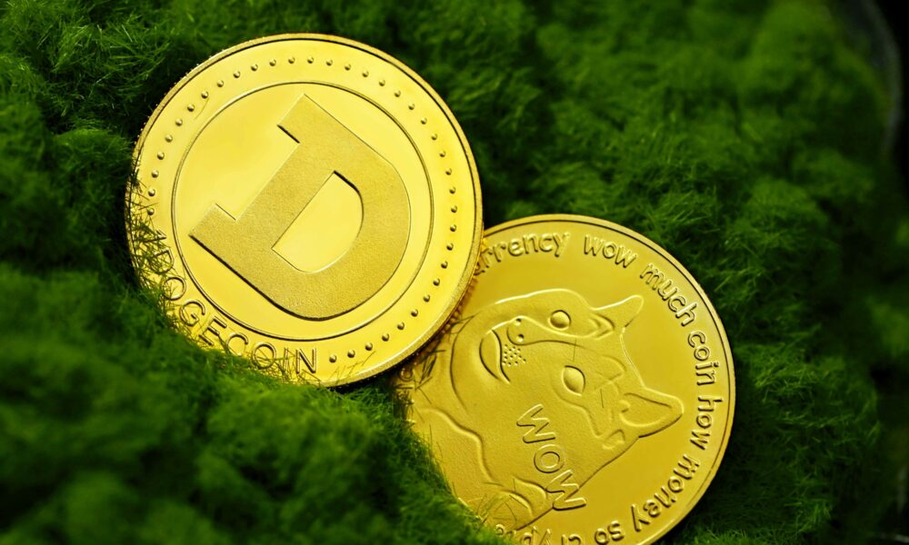 Dogecoin From Unsplash 8.jpg