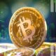 Semler Scientific Boosts Bitcoin Bag With New Btc Purchase.jpg