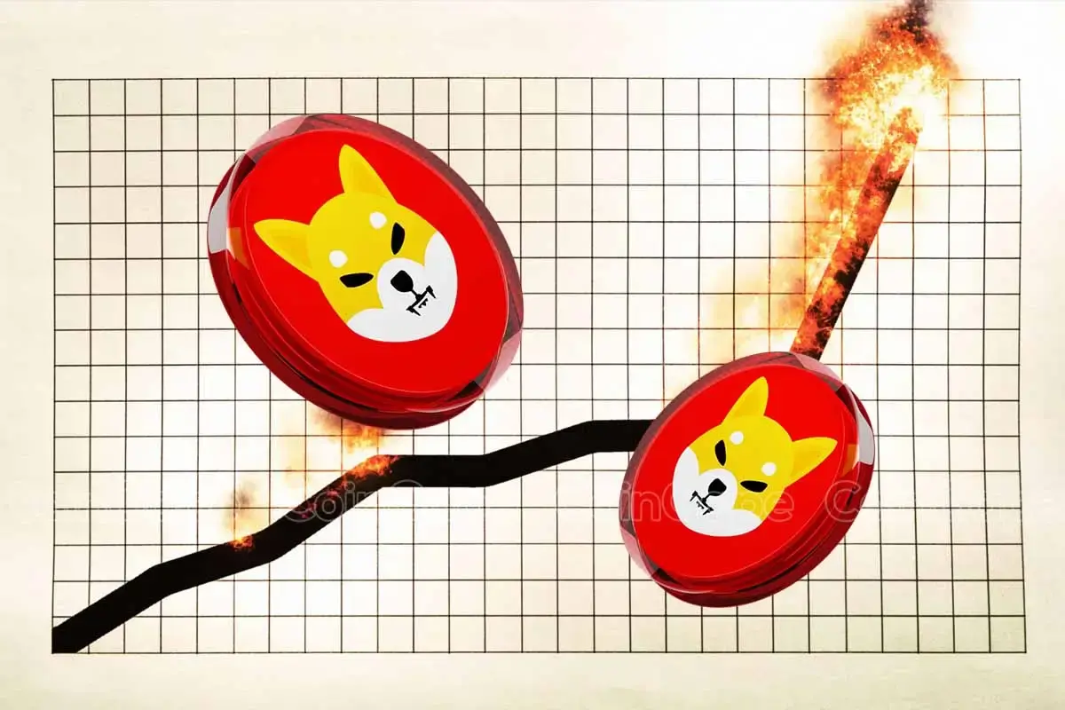 Shiba Inu Burn Rate Shoots Up 1500 Shib To Hit 0.001 This Month.webp.webp