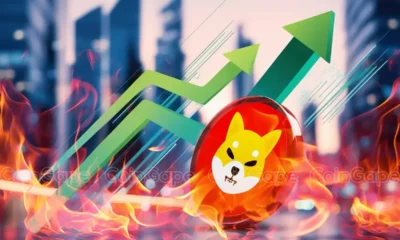 Shiba Inu Daily Burn Rate Soars Shib Bullish Movement Ahead.webp.webp